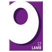 OXO LAMB 71g 12s 2pk