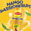 KOMBUCHA MAN/PAS 250ml 12