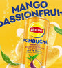 KOMBUCHA MAN/PAS 250ml 12