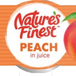 NAT FINE DICED PEACH JUCE